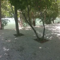 باغ سکو کناررودخانه