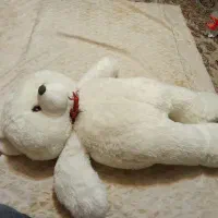 عروسک خرسی بزرگ نونو