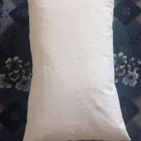 بالش