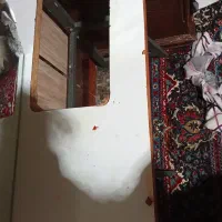 چرخ خیاطی ژانومه مدل 802همراه میز