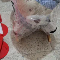 خرس تاب تابی