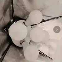 پرژکتور یا نور عکاسی،تولید محتوا