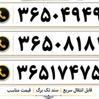 شماره رند طلایی با قیمت مناسب