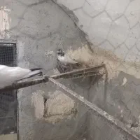کفتر