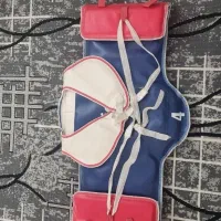 هوگو تکواندو