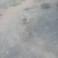 یک قطعه زمین دهنو لب جاده اصلی