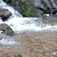 دربستی با سورن پلاس به همه جا