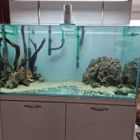 آکواریوم آب شیرین حرفه ای