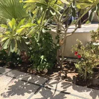 فروش ویلای ۴ خواب دامون شهرک دیدنیها