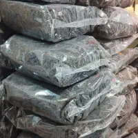 چای قلم لاهیجان