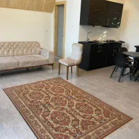 ۴۱ متر یکخواب‌مستر خوشنقشه غرق در نور