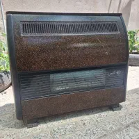 بخاری آدنیس ۱۲ هزار