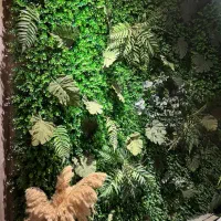 دیوار سبز آماده