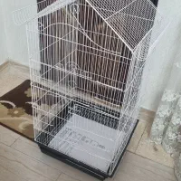 قفس سایز بزرگ