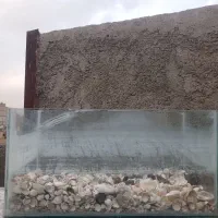 آکواریم و صدف