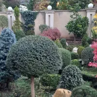 فضای سبز
