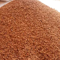 مغز بادام درختی،شیرین ایرانی (ارسال رایگان)