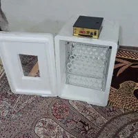 دستگاه جوجه کشی اقتصادی