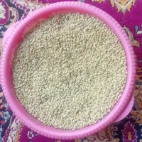 عدس محلی
