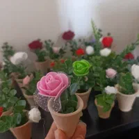 گلدانهای مینیاتوری