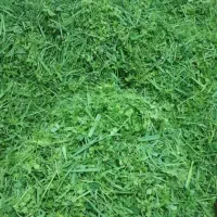 سبزیجات تازه آماده طبخ نیایش سادات