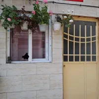 ماه تی تی بامجوز گردشگری