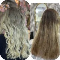 رنگ و لایت تخصصی با مواد اورجینال
