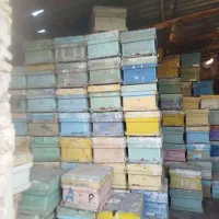 کندو خالی