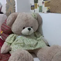 خرس بزرگ کاملا سالم