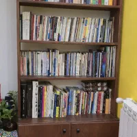 کتابخانه تمام چوبی