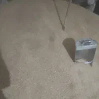 فروش جو خارجی درجه یک