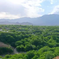 روغن و کره محلی