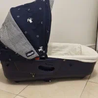 کریکات و آغوشی چیکو ایتالیا