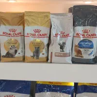 غذای گربه وسگ