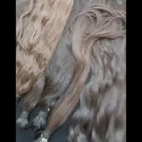 خریدار مو باقیمت عالی