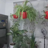 120متر دوخواب ایثارگران با پارکینگ تخلیله هفت روزه