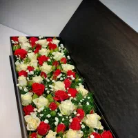 دسته گل(باکس مناسبتی سوپرایزی اقتصادی)