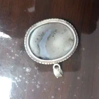 شجر درخت