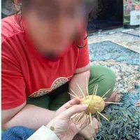 درمانگر ذهنی واحد منزل