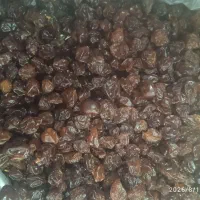 کشمش امسال با قیمت مناسب