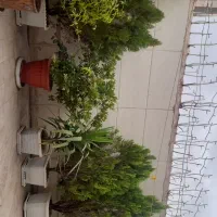 آپارتمان ۸۵ متری با ۲۵ متر حیاط خلوت اختصاصی