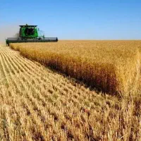 فروش-زمین-کشاورزی-ممتاز