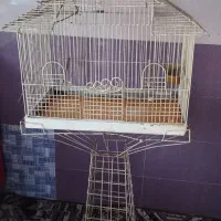یه اسپری رنگ میخواد پایه داره