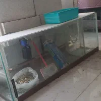 آکواریوم بزرگ با گرم کن و پمپ