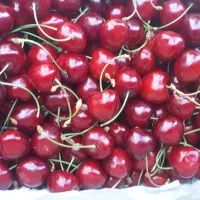 کارگر ساده جهت میوه فروشی باحقوق عالی با جای خواب