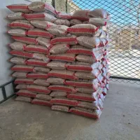 نخود موعدی چکی سرخرمنی