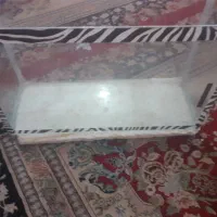 آکواریوم