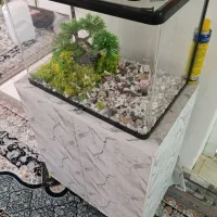 آکواریوم و زیر آکواریومی