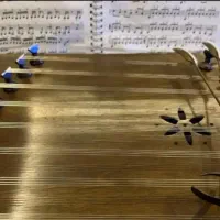 آموزش سنتور توسط مدرس خانم