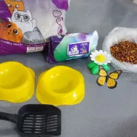 وسایل گربه به تعداد مشخص شده فروشی.
